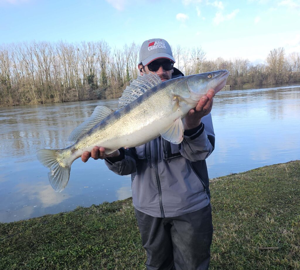 sandre-streetfishing-lyon 