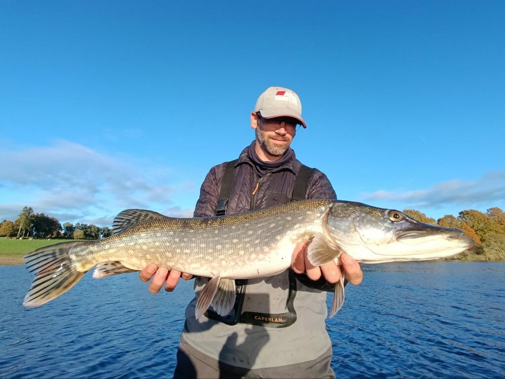 brochet-nico-lacustra