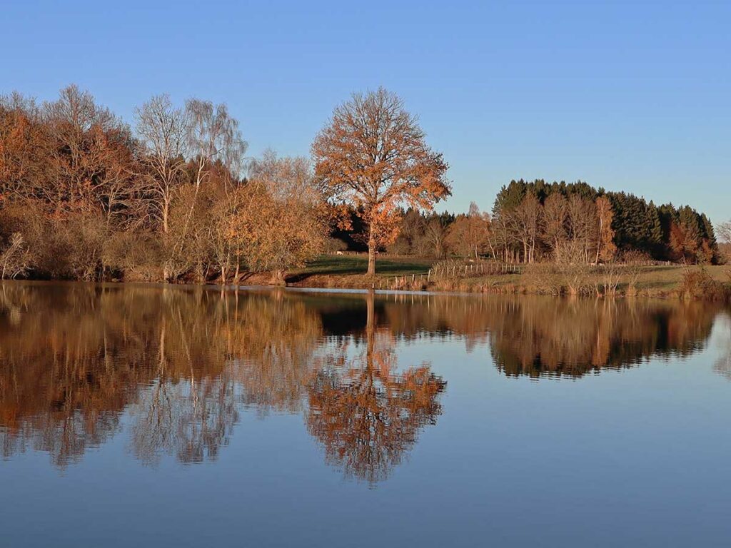 lacustra-stage-carnassier-leurre