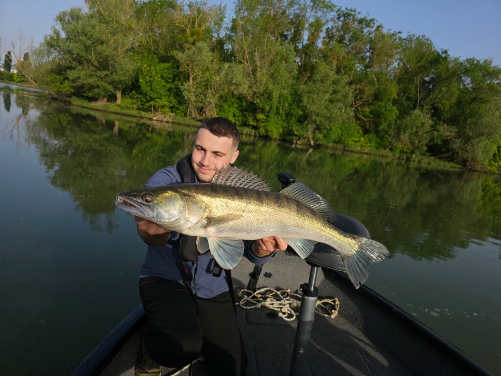 sandre-william-saone