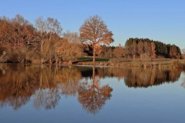 lacustra-stage-carnassier-leurre